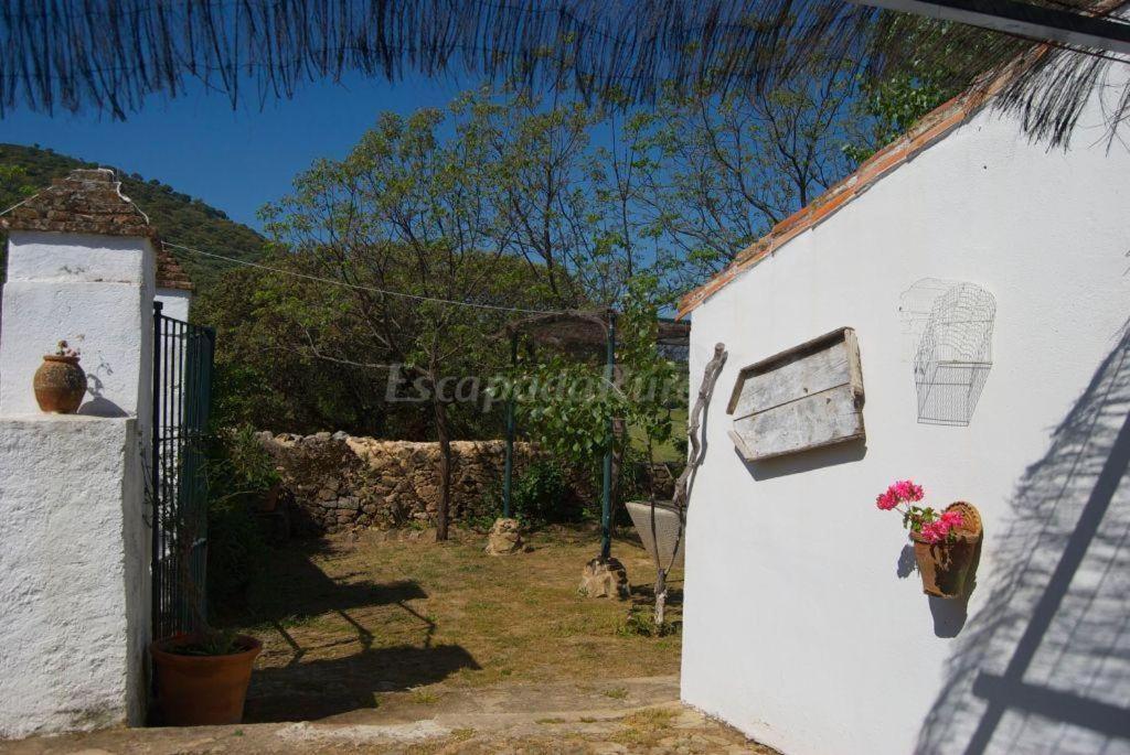 Ferienhaus La Vicacaria Limonero