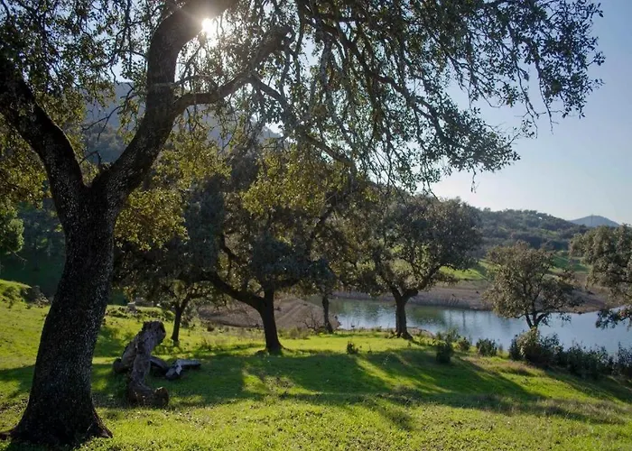 Finca La Vicacaria Limonero