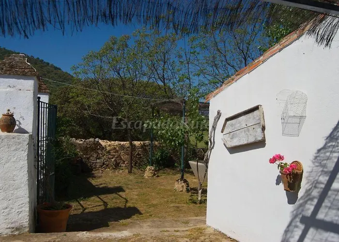 Finca La Vicacaria Limonero