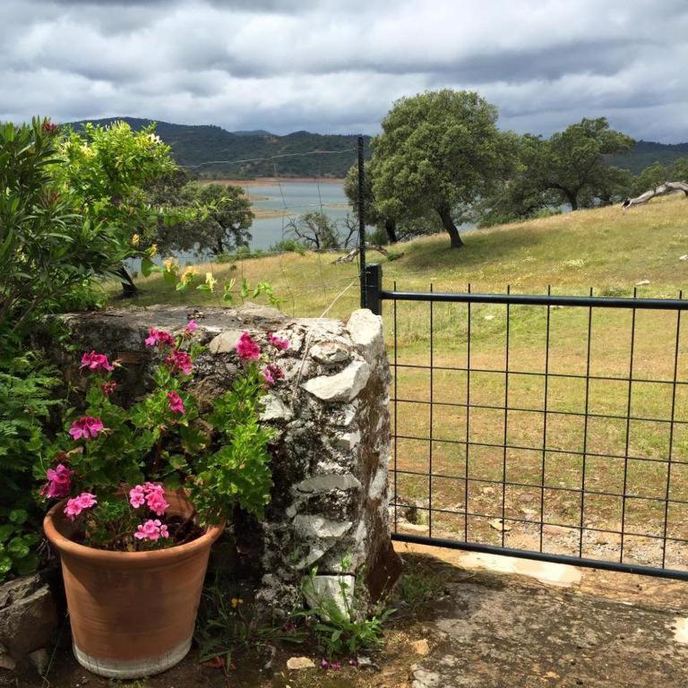 La Vicacaria Limonero Casa de vacances